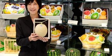 Japan Artisanal Fruits
