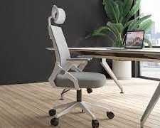 Ergonomic Office Chairs